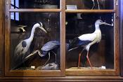 natura docet denekamp 4-2022 2274